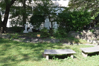 Enlarge photo 73