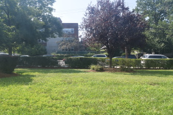 Enlarge photo 42