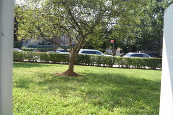 Enlarge photo 51