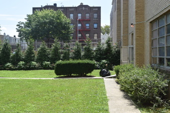 Enlarge photo 40