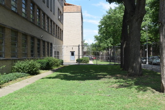 Enlarge photo 61