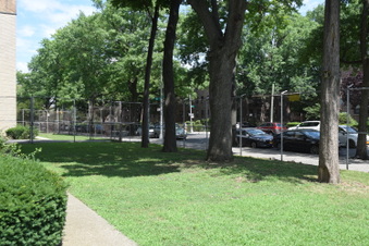 Enlarge photo 62