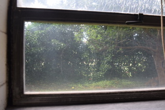 Enlarge photo 96