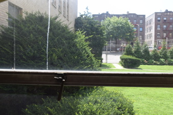 Enlarge photo 61