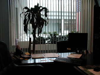 Enlarge photo 22