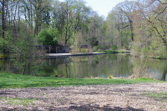 Enlarge photo 8