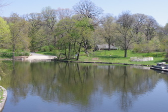 Enlarge photo 10