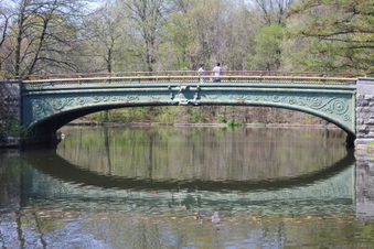 Enlarge photo 15
