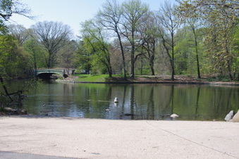 Enlarge photo 17