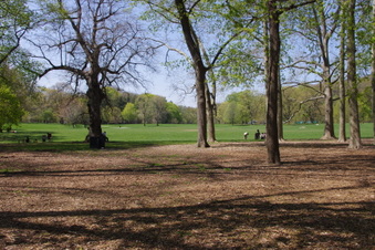 Enlarge photo 24