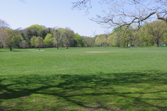 Enlarge photo 25