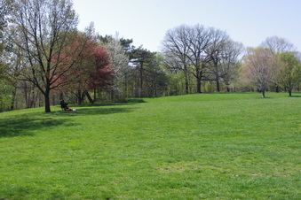 Enlarge photo 26
