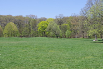 Enlarge photo 27