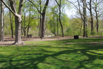 Enlarge photo 28