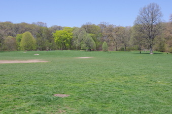 Enlarge photo 29