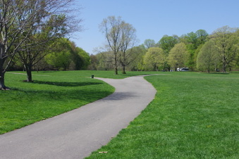 Enlarge photo 30