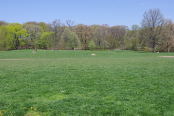 Enlarge photo 31