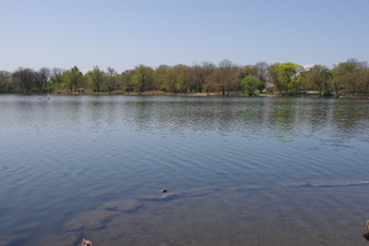 Enlarge photo 34