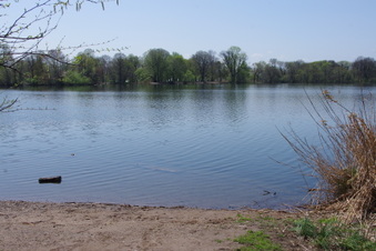 Enlarge photo 35