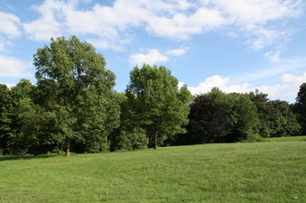 Enlarge photo 38