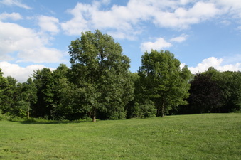 Enlarge photo 39