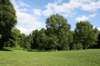 Enlarge photo 40