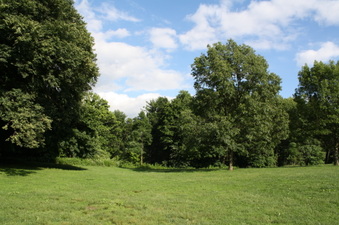 Enlarge photo 41