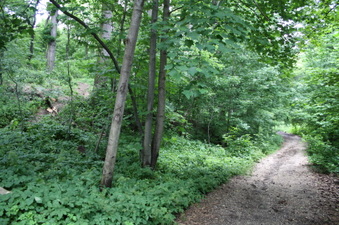 Enlarge photo 42