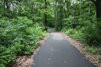 Enlarge photo 45