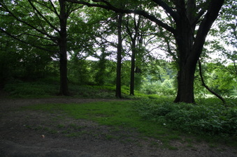 Enlarge photo 46