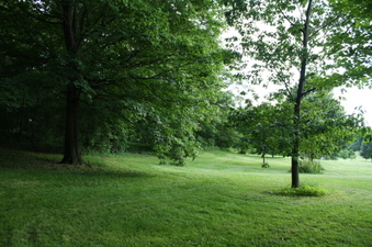 Enlarge photo 47