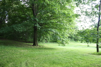 Enlarge photo 48