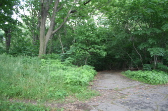 Enlarge photo 49