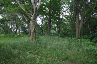 Enlarge photo 50