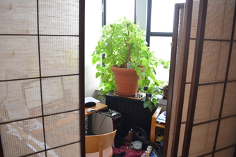 Enlarge photo 28