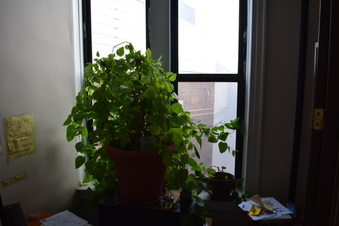 Enlarge photo 29