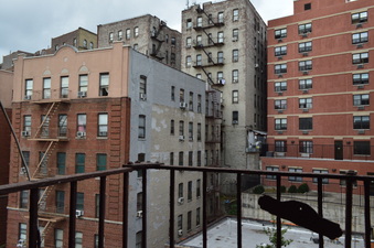 Enlarge photo 78