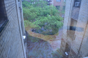 Enlarge photo 11