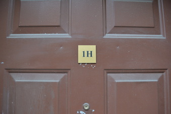 176 EAST 3RD STREET APT 1H