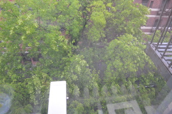 Enlarge photo 23