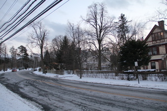 Enlarge photo 62