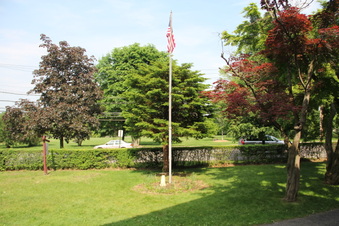 Enlarge photo 73