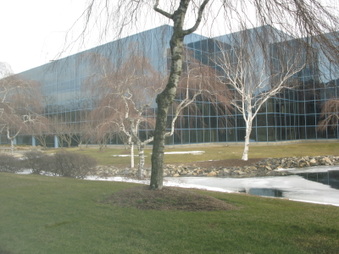Enlarge photo 22