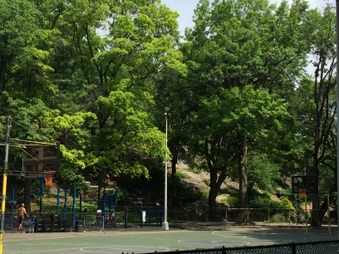 Enlarge photo 15