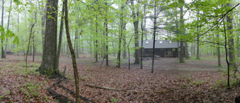 Enlarge photo 13