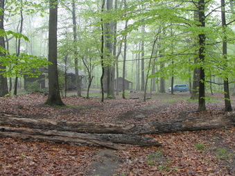 Enlarge photo 17