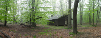 Enlarge photo 21