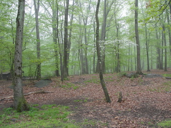 Enlarge photo 23