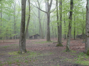 Enlarge photo 24