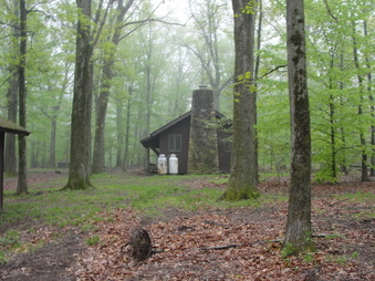 Enlarge photo 26
